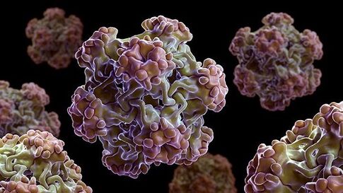 virus del papiloma humano